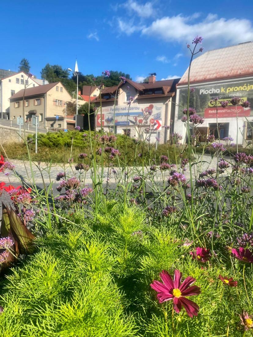 Apartment Krkonošská Tanvald Esterno foto
