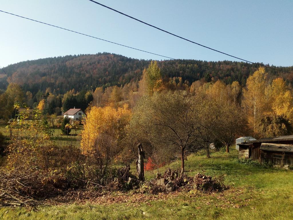 Apartment Krkonošská Tanvald Esterno foto